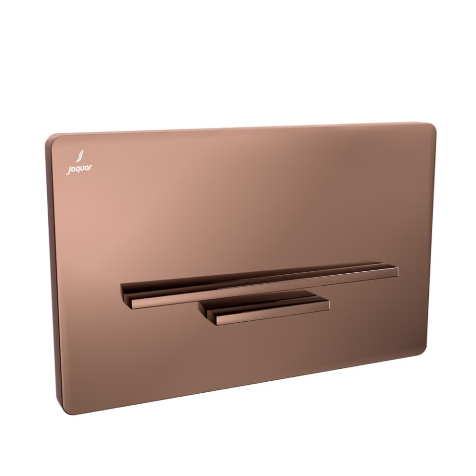 Control Plate Laguna