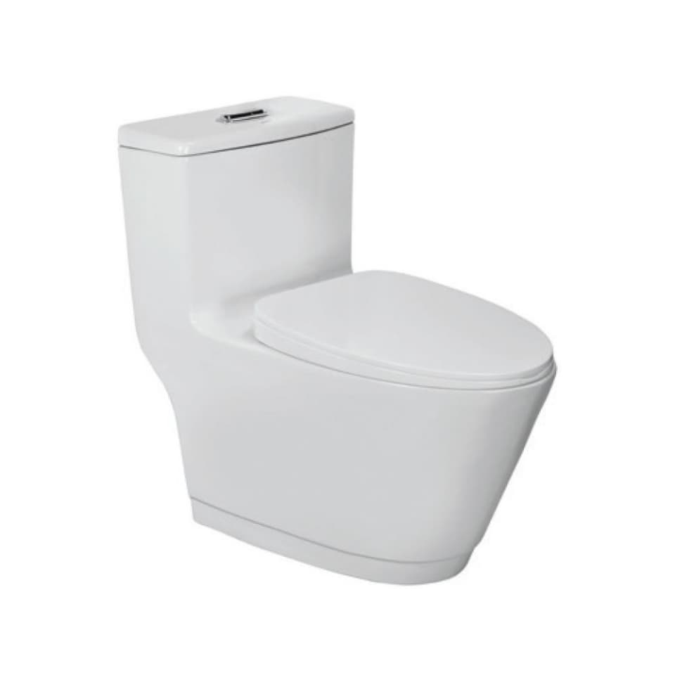 Vignette Rimless Single Piece WC Bowl Only S-Trap 150 mm