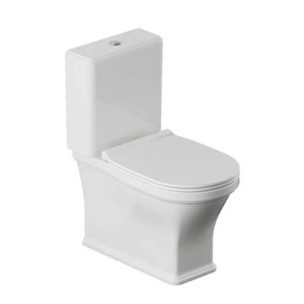 Picture of Artize Vic Rimless Coupled WC S-Trap 250 mm VCS-WHT-503753S250UFSMZ