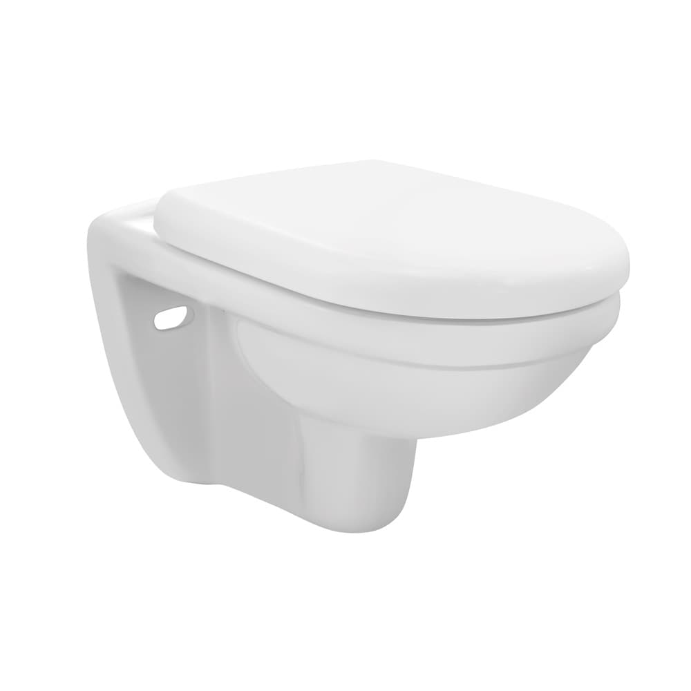 Picture of Wall Hung WC