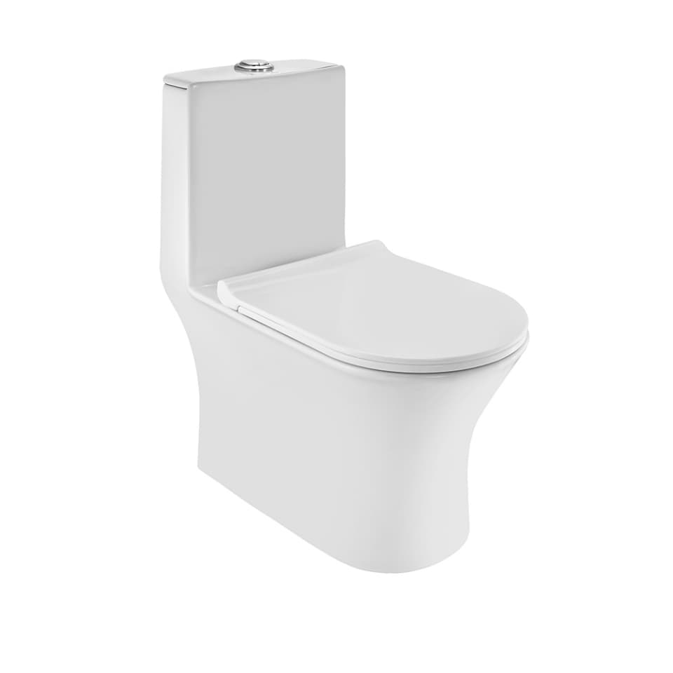 Фото Rimless Single Piece WC
