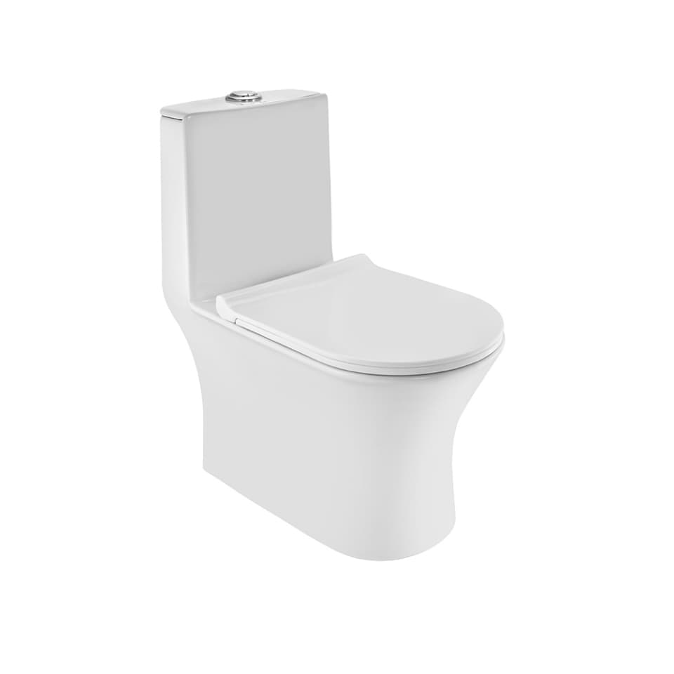 Фото Rimless Single Piece WC