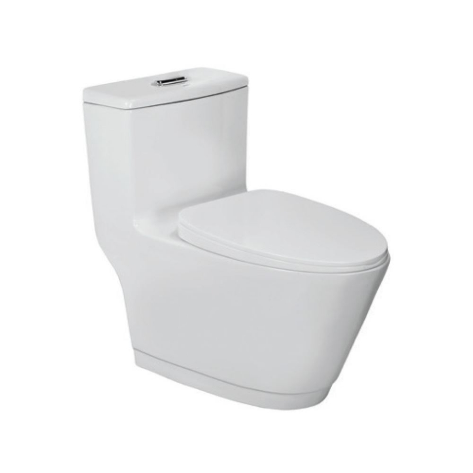 Vignette Rimless Single Piece WC Bowl Only S-Trap 150 mm