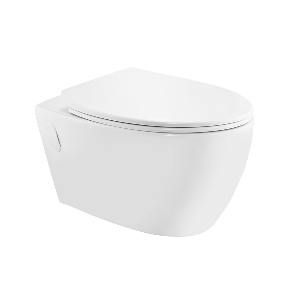 Vignette Rimless Wall Hung WC Bowl Only